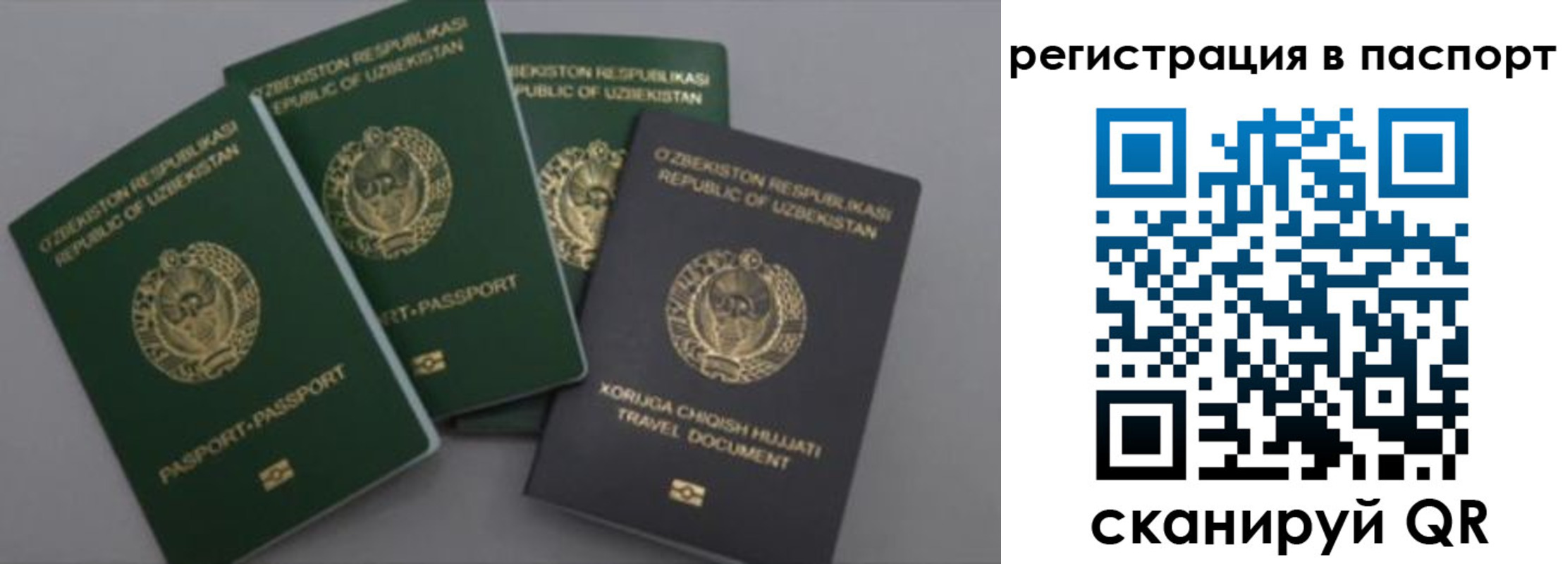 прописка от собственника в Мыски